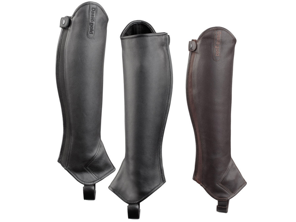 Chaps DASLO GOLD - imagine 2