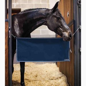 Guard EQ pentru boxa