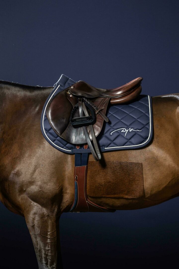 Valtrap Dyon Diamond - imagine 2