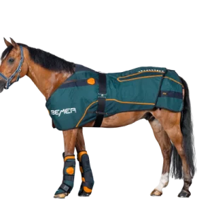 BEMER Horse-Set