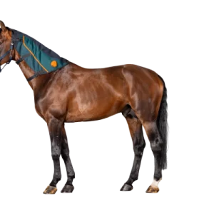 BEMER Neck applicator