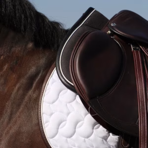 Half pad Kentucky Anatomic Absorb